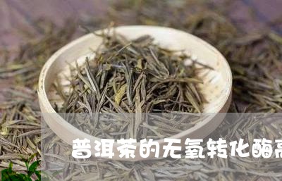 普洱茶的无氧转化酶高吗/2023112739382