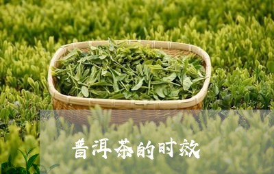 普洱茶的时效/2023042789930