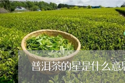 普洱茶的星是什么意思/2023092757271