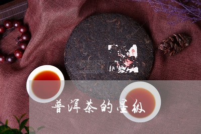 普洱茶的星级/2023042728262