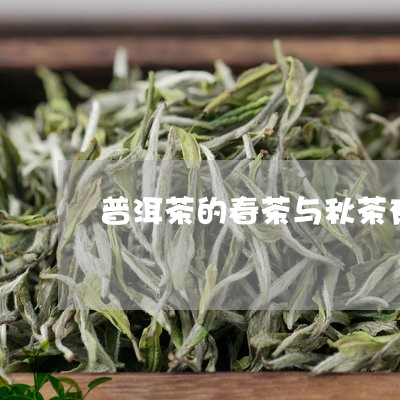 普洱茶的春茶与秋茶有何区别/2023052725359