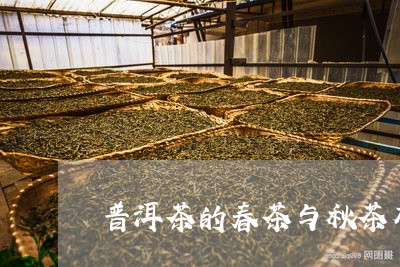 普洱茶的春茶与秋茶有何区别呢/2023053054946