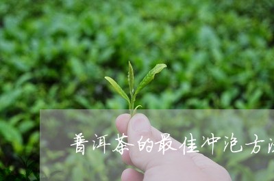 普洱茶的最佳冲泡方法/2023100845058