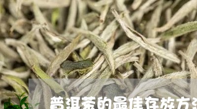 普洱茶的最佳存放方法/2023080282715