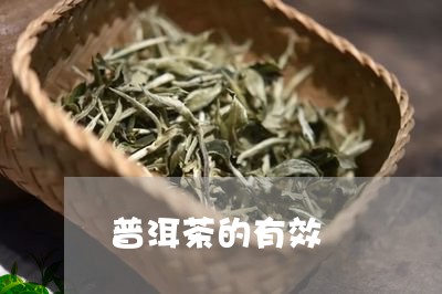 普洱茶的有效/2023042987455