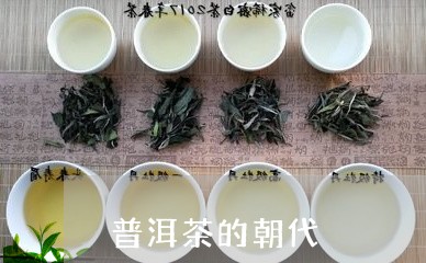 普洱茶的朝代/2023091241616