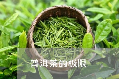 普洱茶的极限/2023042675588