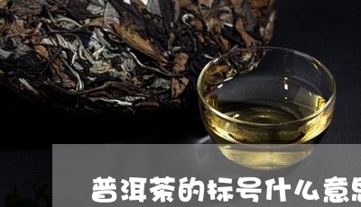 普洱茶的标号什么意思/2023093032728