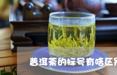 普洱茶的标号有啥区别/2023092820382