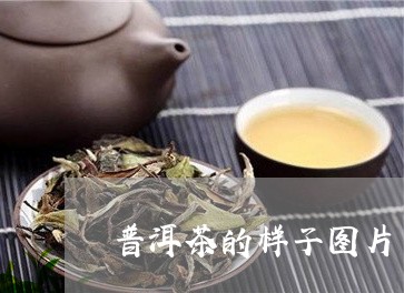 普洱茶的样子图片可爱图/2023121793848