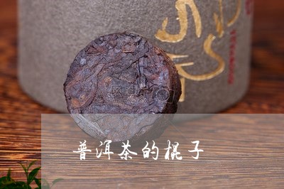 普洱茶的棍子/2023091262826