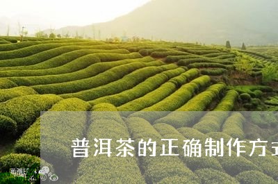 普洱茶的正确制作方式/2023100637462