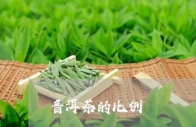 普洱茶的比例/2023042942372