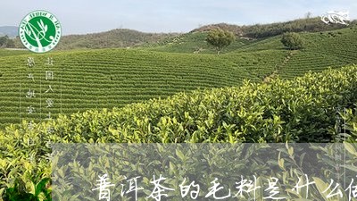 普洱茶的毛料是什么做的呀/2023081582716