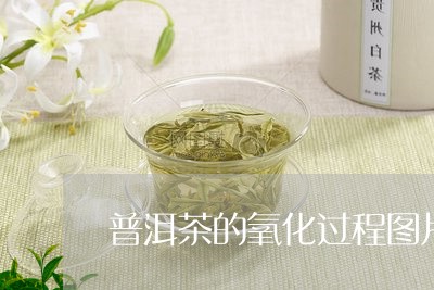 普洱茶的氧化过程图片/2023120717258