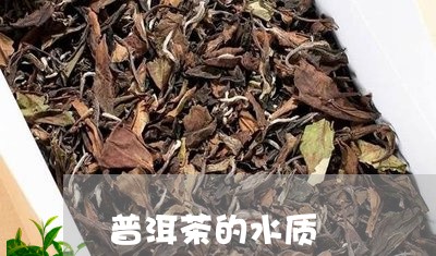 普洱茶的水质/2023042840519