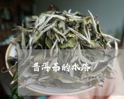 普洱茶的水路/2023042860384