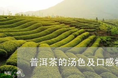 普洱茶的汤色及口感特点/2023050410604