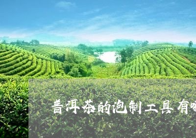 普洱茶的泡制工具有哪些/2023110191603