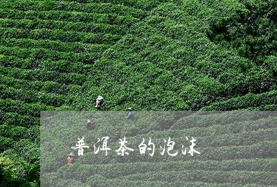 普洱茶的泡沫/2023042972457