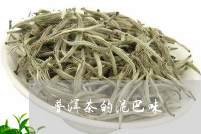 普洱茶的泥巴味/2023120335989