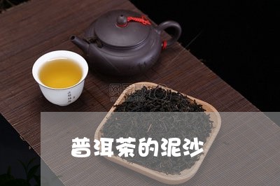 普洱茶的泥沙/2023042715066