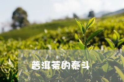 普洱茶的泰斗/2023042888004