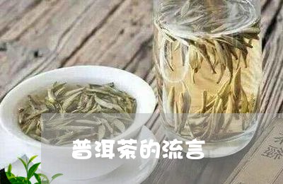 普洱茶的流言/2023042780254