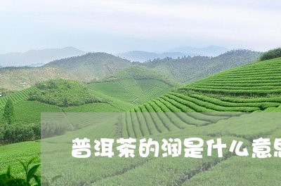 普洱茶的润是什么意思/2023062150601