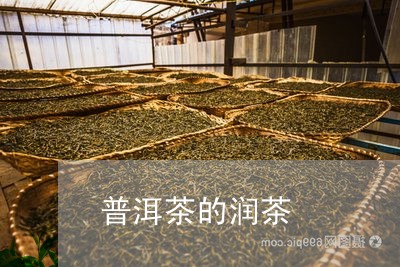 普洱茶的润茶/2023042890032