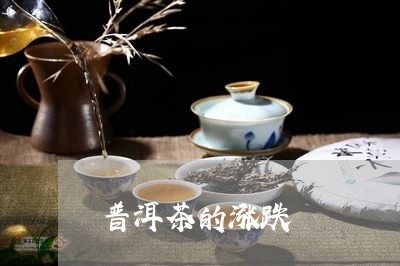 普洱茶的涨跌/2023042792739