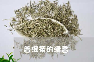 普洱茶的清香/2023042770520