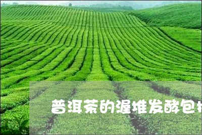 普洱茶的渥堆发酵包括/2023100886360