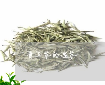 普洱茶的湿茶/2023042832111