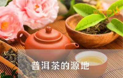 普洱茶的源地/2023042719308