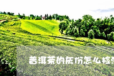 普洱茶的灰份怎么检测/2023062361814