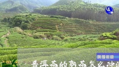 普洱茶的熟茶怎么冲泡/2023080377168