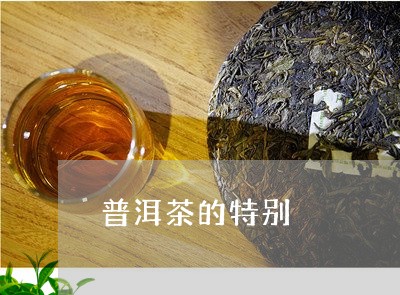 普洱茶的特别/2023042893022