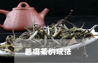 普洱茶的玩法/2023042887334