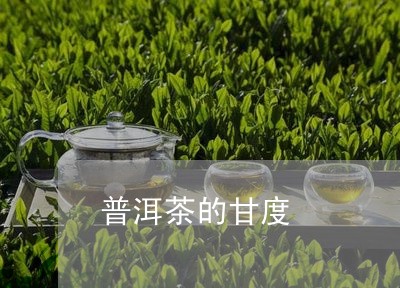 普洱茶的甘度/2023042953542