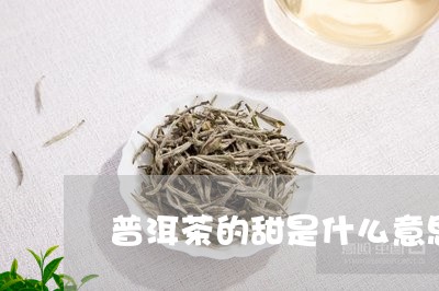 普洱茶的甜是什么意思/2023092707150