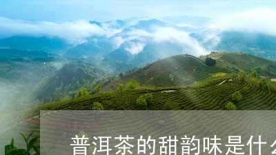 普洱茶的甜韵味是什么香味/2023112406168