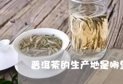 普洱茶的生产地是哪里的/2023110111492