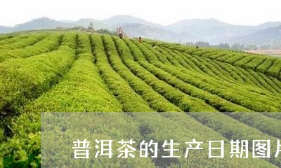 普洱茶的生产日期图片/2023061922837