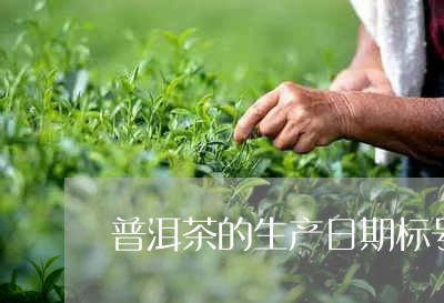 普洱茶的生产日期标号/2023062260384