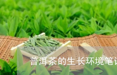 普洱茶的生长环境笔记/2023062554158