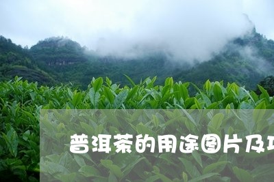 普洱茶的用途图片及功效/2023121760581