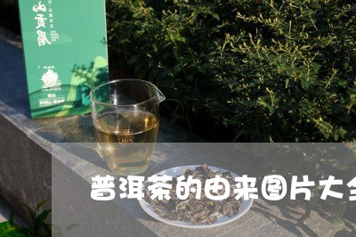 普洱茶的由来图片大全介绍/2023082760835