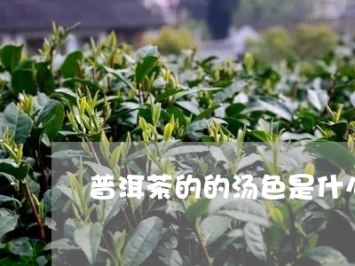 普洱茶的的汤色是什么/2023092973058