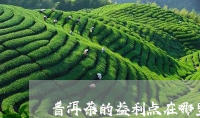 普洱茶的盈利点在哪里/2023062063925